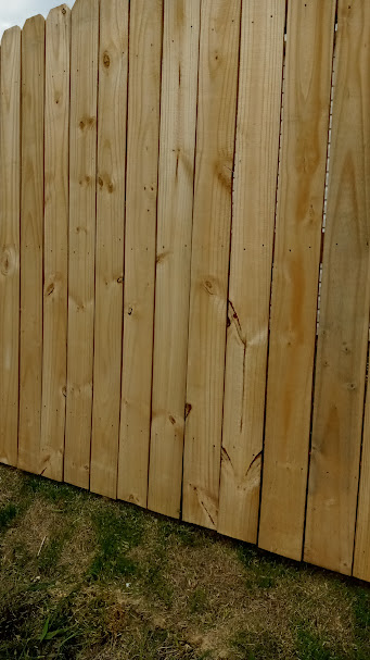 Rotten Wood Replacement